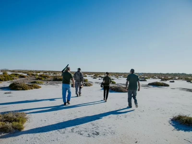 GLOBAL BIG DAY: The largest birding event