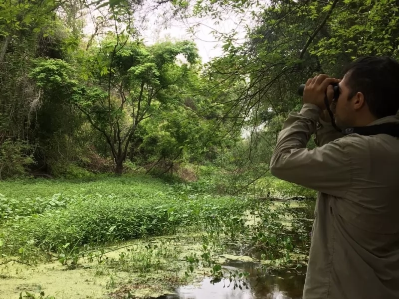 Global Big Day: October 2021