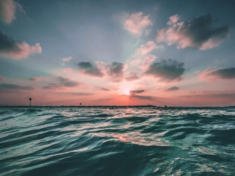 North Side's National Aviary celebrates World Ocean Day all summer