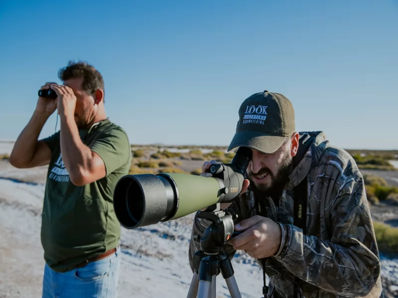 SALINAS GRANDES - BIRDS PICTURES